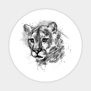 Watercolor Portrait - Black and White Cougar Head Magnet